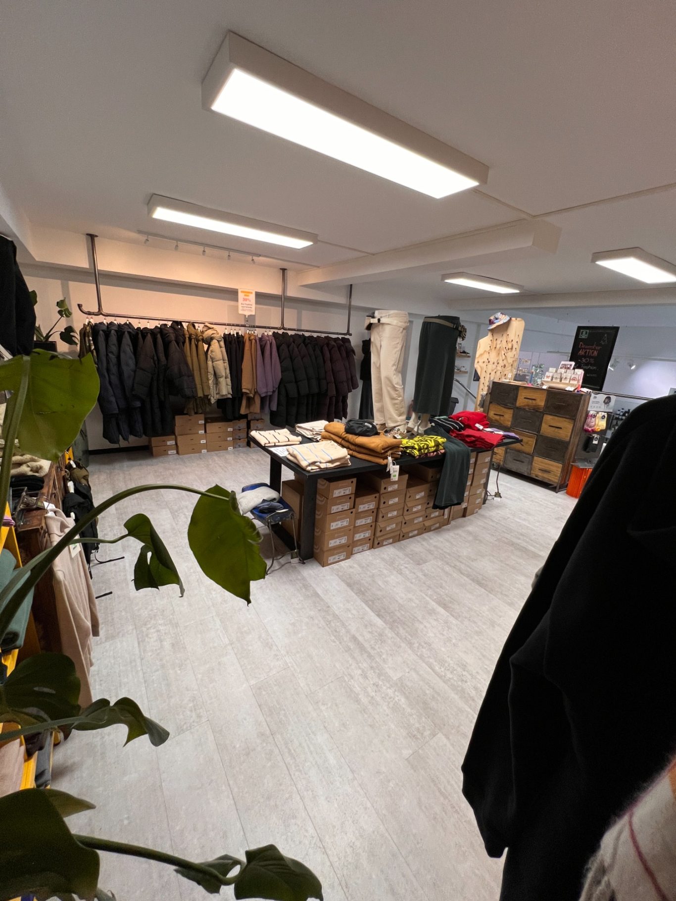 Damen OG Ein Verkaufsraum mit Regalen, Tischen und Pflanzen für den Verkauf.